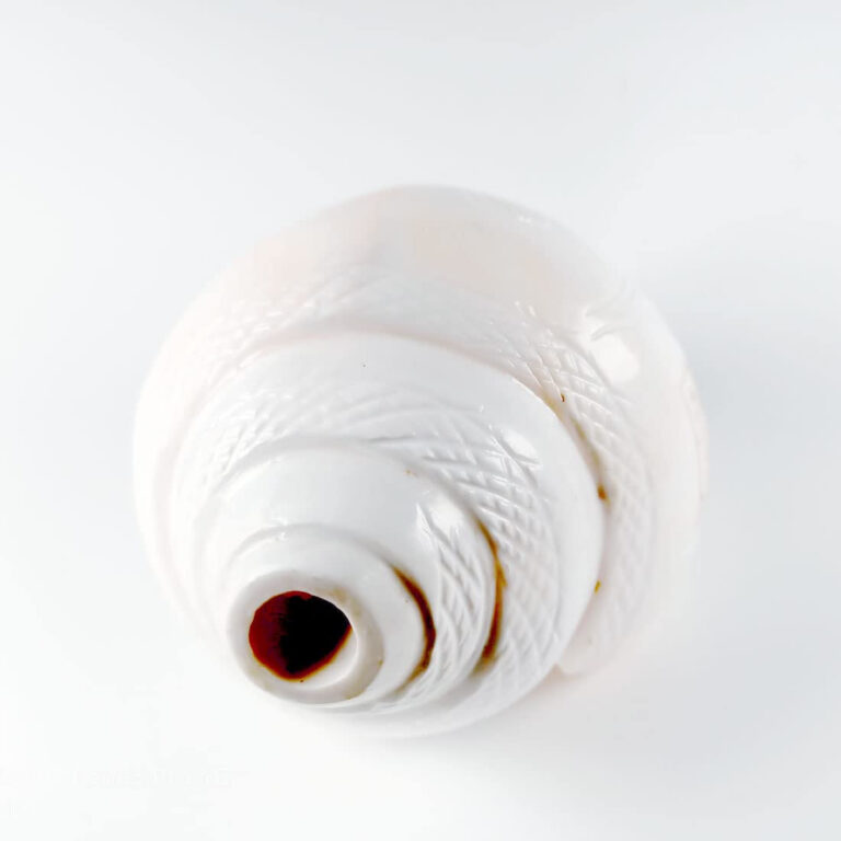 Benefits of Blowing a Shankh (Conch Shell) in Hindu Rituals