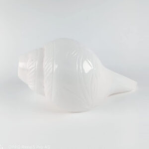 Benefits of Blowing a Shankh (Conch Shell) in Hindu Rituals